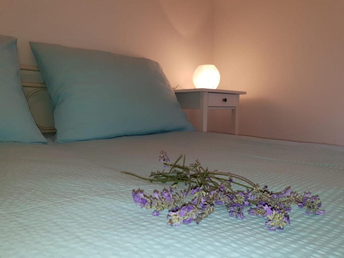 Apartments Jaca Банёл Экстерьер фото